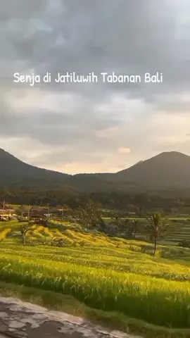 Senja di Jatiluwih#indah #Bali 
