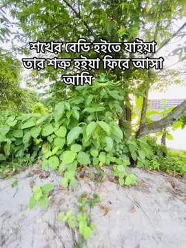 আফছোঁচ 🥲🐍#foryou #foryoupage #fypシ゚viral #foryoupageofficiall #fpyyyyyyyyyyyyyyyyyyyyyy @TikTok @For You @TikTok Bangladesh 