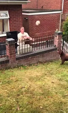 #fyp #foryou #blowthisupforme #xbcyza #reels 