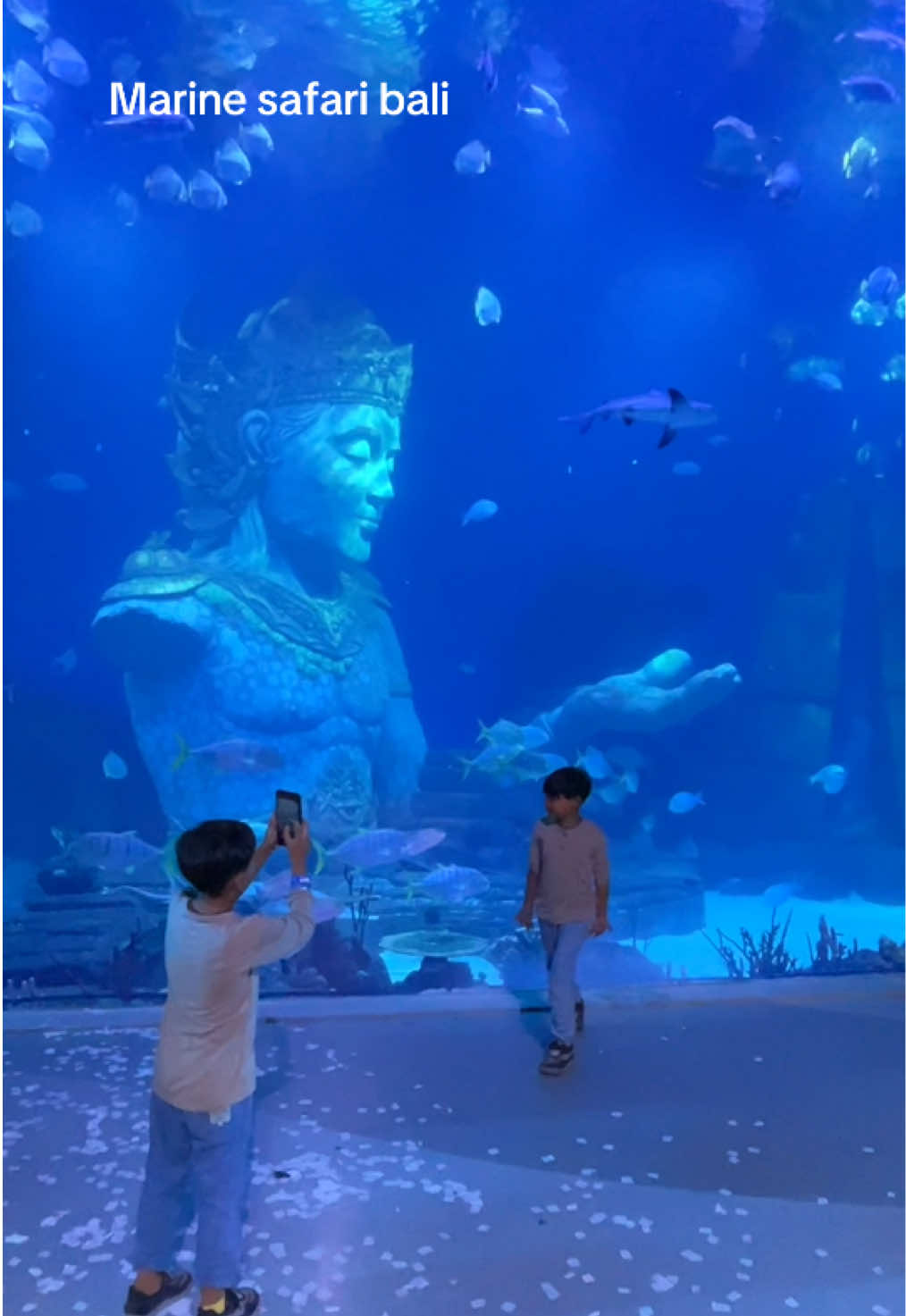 Marine safari bali, wahana seru dengan aquarium sangat besar dan bermacam macam show menarik di dalamnya, kalian juga bisa beli tiketnya lewat tag lokasi pada video ini y untuk mendapatkan promo diskon dari tiktok! #jelajahatraksiakhirpekan #marinesafaribali #marinesafari #liburanseru #liburanbali 