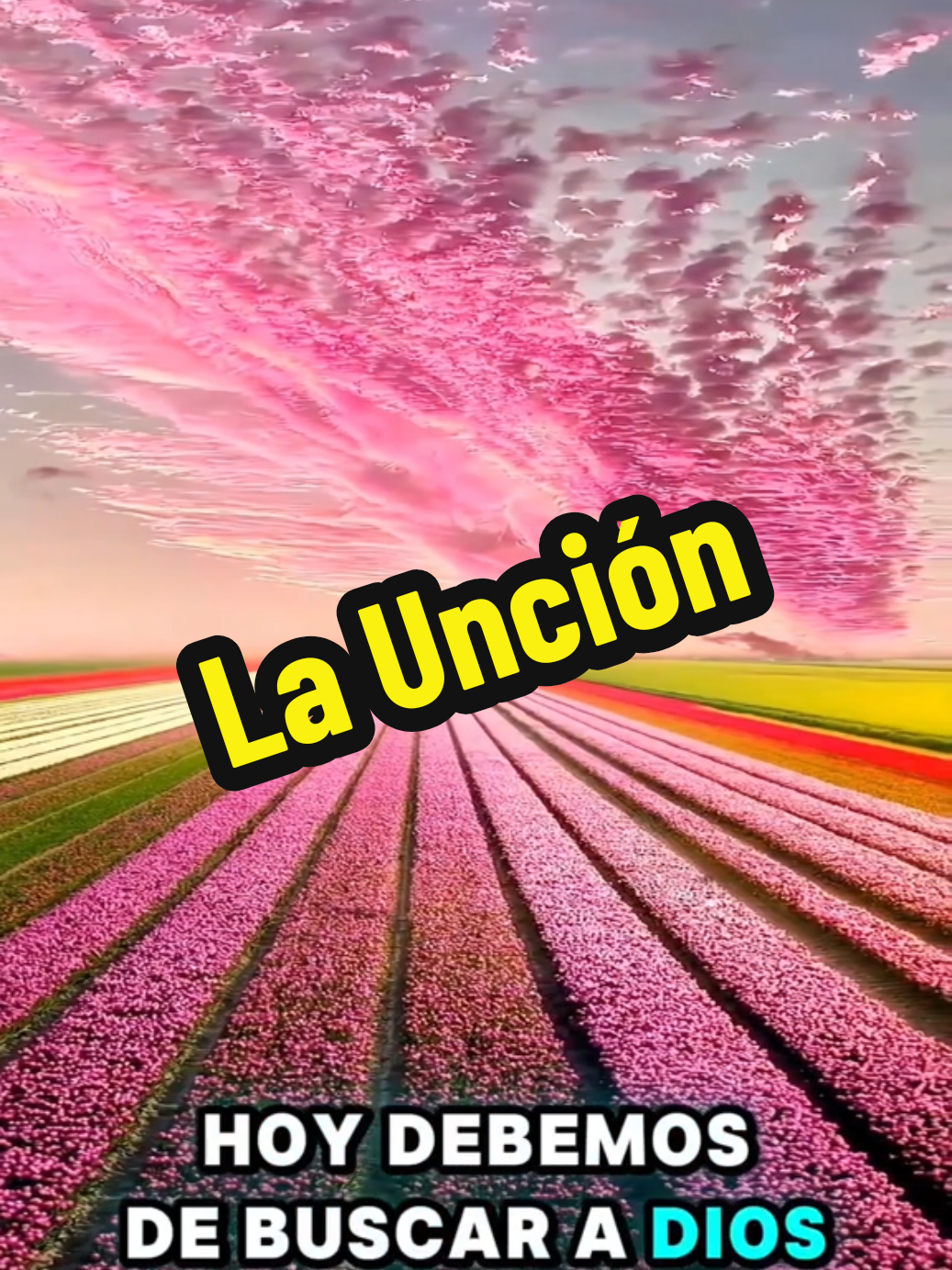 Una alabanza en la letra y voz de nuestro hermano Raúl Sambrano con este uno de sus temas musicales para Dios. #alabanza #musicacristiana #joropo #alabanzas #musicallaneravenezuela 
