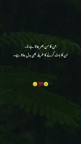 #fyp #CapCut #deeplines #inshot #faizi 