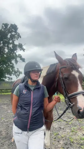 🌸🌸#equestrian #fyp #horse #horsesoftiktok #makeup 