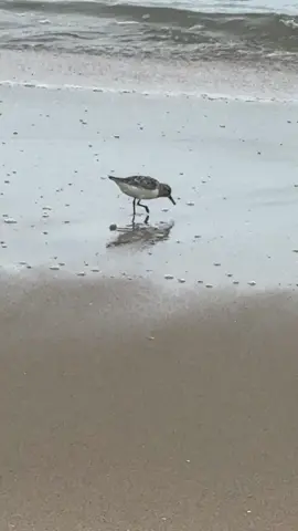 Beach Therapy … Chill out for a second!