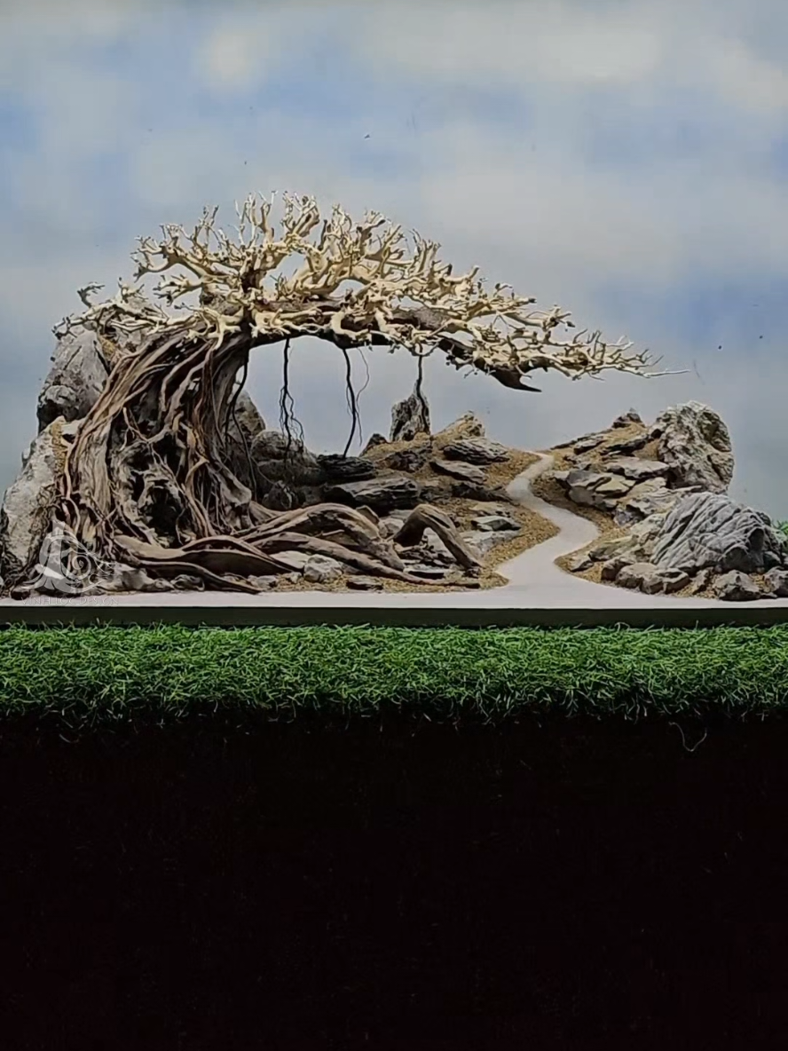 Từ những mảnh lũa vụn, hoá thành gốc bonsai mang hồn cổ thụ. Con đường nhỏ dẫn lối… xa xăm. Layout bể 60x40x40  #thuysinh #aquariumdesign #layout #bonsai #aquascaping 