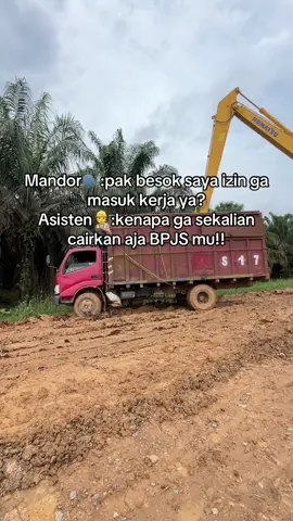Jangan pak saya belum nikah🙏 #sawitontiktok  #sawit  #kulisawit  #petaniindonesia🇮🇩🇮🇩🇮🇩🌿🌿  #mandorsawit 
