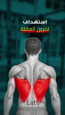 كيف تستهدف زوايا الجسم بتمرين العقلة #تمارين_السواعد #fit #workout #تمارين_رجل #رياضة 