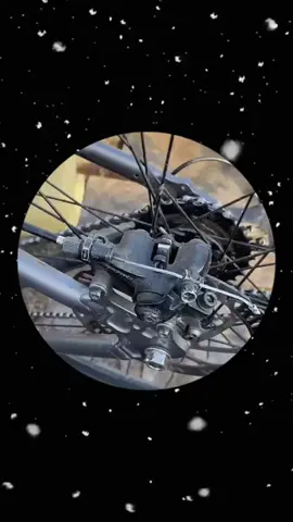 Факт: глаза страуса больше его мозга! 🦩 Это делает их одними из самых больших глаз среди птиц, позволяя им хорошо видеть на большие расстояния. #факты #страусы #природа 