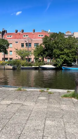 Kanal di Amsterdam sebagai alat transportasi tanpa kemacetan. #amsterdamlifestyle #amsterdamlocal #amsterdamcity #holland #Belanda 