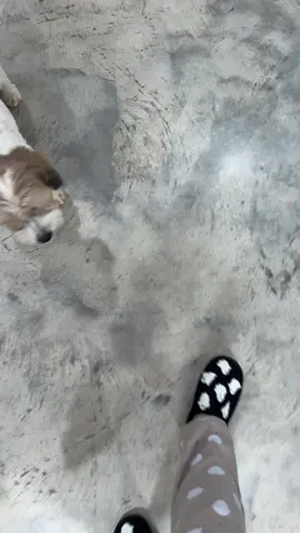 #shoes #slippers #comfortable 