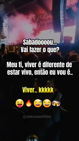 Viver é diferente de estar vivo 😅😂🔥 #sabadou #vamosviver #status #cerveja #pagodinho 