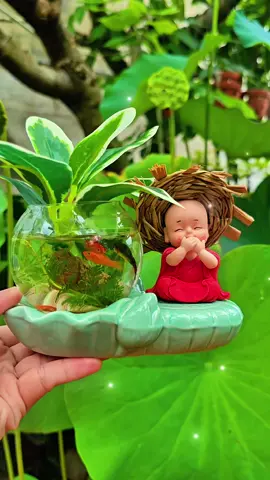 Một góc nhỏ bình yên #review #binhyen #gocbinhyen #tieucanhmini #tieucanh 