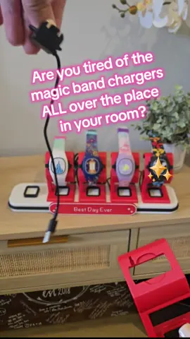If you go to Disney at all then you NEED this! #disneymusthaves #disneyorganization #organizer #magicbandstorage #disney @Brown’s Media Group 