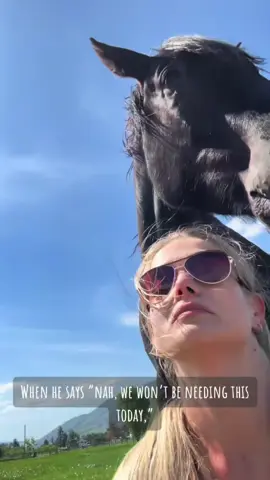 That time Rudnik decided he didn’t feel like working that day 😂🥲 #throwback #horses #onthisday 