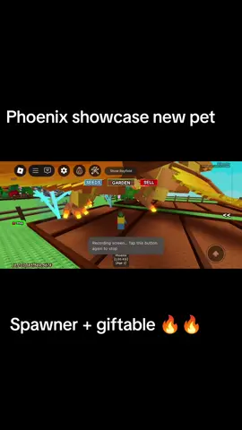 Phoenix showcase grow a garden new pet #fyp #zxycba #roblox #growagarden #gag 
