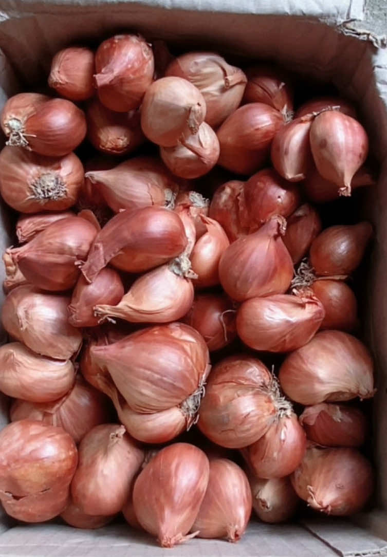 Hành khô kinh môn hải dương #hanhkho #hanhtoi #hanhkhokinhmon #giavinauan 