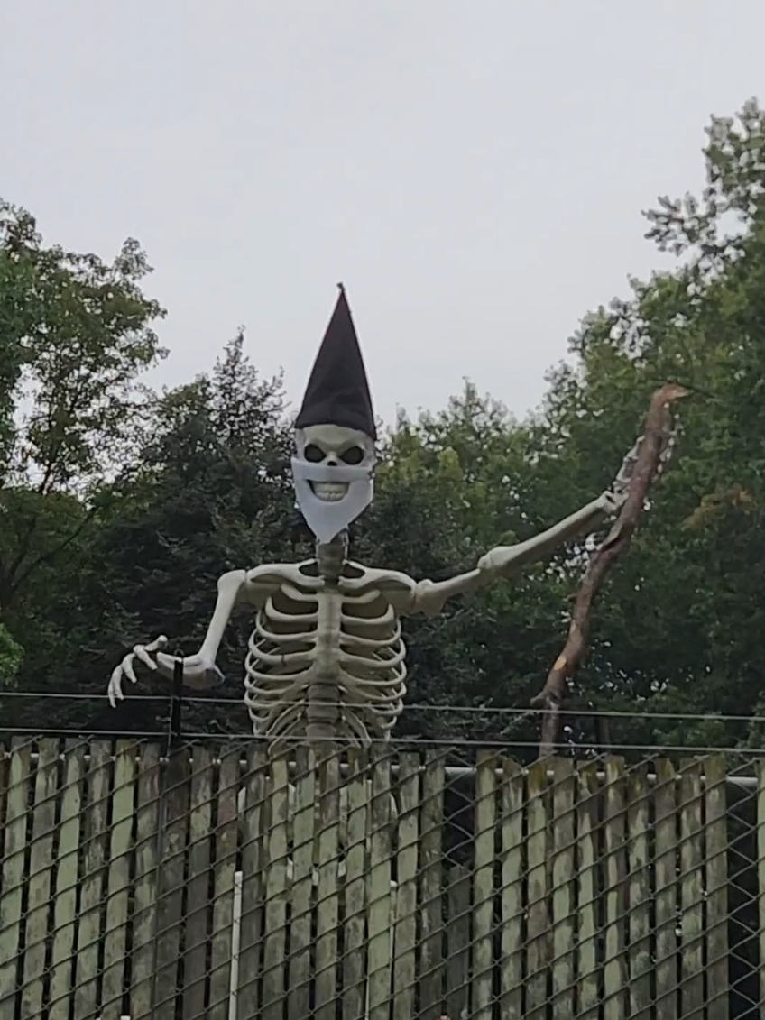 Don't let the evil wizard catch you... 