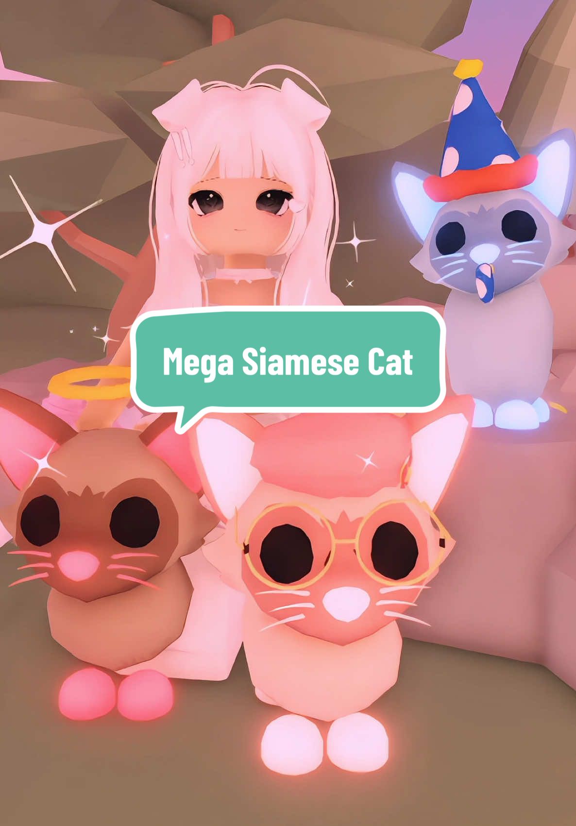 Make a mega Siamese Cat with me! I added the color codes incase any one was curious 🫶🏼 #robloxadoptme #adoptmeroblox #roblox #adoptme #adoptmepets 