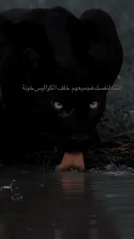 حقاَ..  #ppppppppppppppppppppppp 