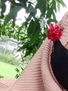 বুদ্ধি থাকলেই মানুষ হওয়া যায় না,,  বুদ্ধি তো শেয়ালের আছে,, মানুষ হতে হলে মনুষ্যত্বের প্রয়োজন।🍀🍁