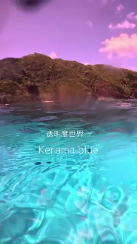 世界の海を潜ってきたダイバーさんも、冗談じゃなく慶良間が一番透明度高いという方が大勢います。 本当に美しい海が身近にある幸せを感じます。 #ダイビング #okinawa #underwater #海景色 #divlng 