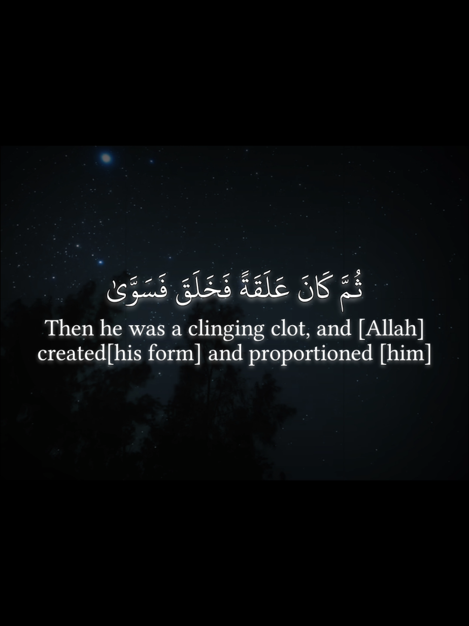 ﴿كَلّا إذا بَلَغَتِ التَّراقِيَ﴾ سورة القيامة | عبد العزيز الفقيه ================== #قران_كريم #quran #قران #عبد_العزيز_الفقيه #تلاوة_خاشعة 