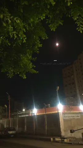 ياحبيبي من حبي فيك 💖 #تامر #تامرحسني #تامر_حسني #fyp #fyppppppppppppppppppppppp 