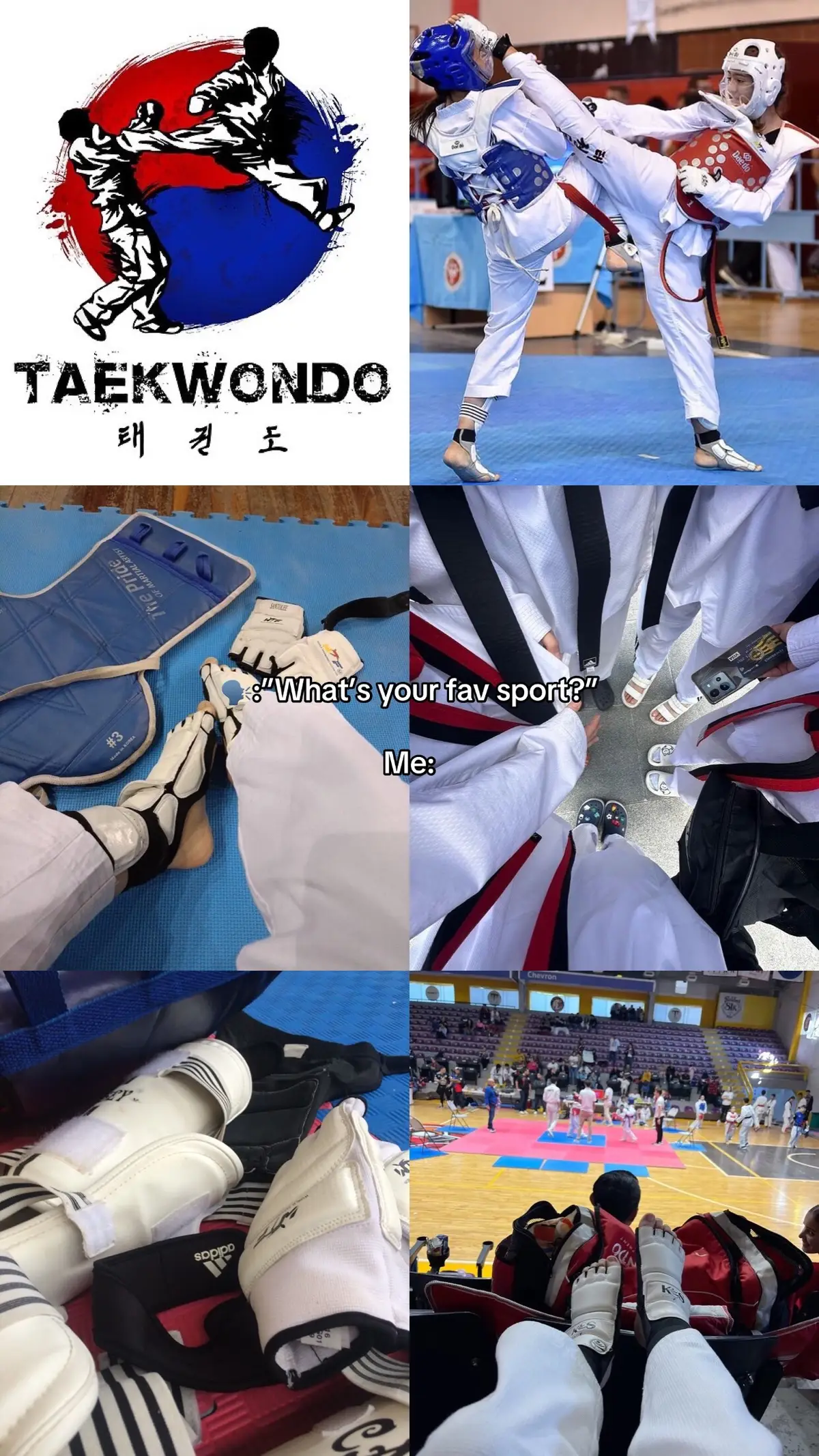 #creatorsearchinsights #fyp #taekwondo #favsport #cresnoyar 