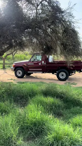 #fyp #explore #شاصات #العنابي #foryou 