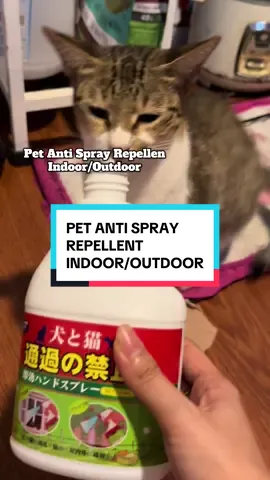 Goodbye na sa ihi ng mga alaga ng kapitbahay😼Repellent spray gor dogs and cats.#repellentspray #dogandcatrepellentspray #homecleaning #spray 