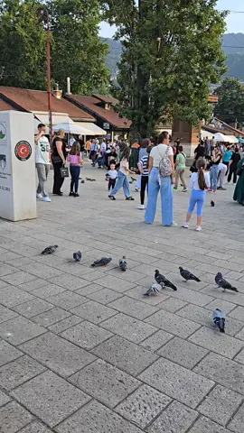 #Sarajevo #bosnia#fyp