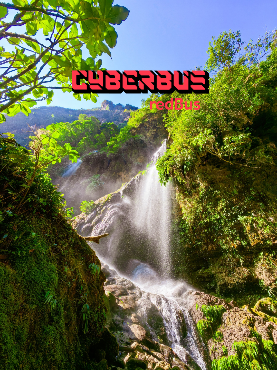 CATARATA RÍO DE REPENTE, TINGO MARÍA. CÓMO LLEGAR? 🌞🌴 ¡Allinllachu traveleros! Sabían que en la selva se encuentra este paraíso natural con un río de aguas cristalinas, cataratas y duchas naturales? Si no conoces esta nueva ruta, vayan corriendo a comprar su pasaje en al aplicación de @redBus Perú 🇵🇪 de descuentazos en pasajes de bus con hasta el 50% por los CyberBus. Hay más de 20 empresas de buses con destinos a la costa, sierra y selva.  *Aplican TyCs.  ✅ ¿𝗖𝗼́𝗺𝗼 𝗹𝗹𝗲𝗴𝗮𝗿? 🚍 Compra tu pasaje en “Red Bus” y llegas a Tingo María en 12 horas. Luego tomas un colectivo durante 1 hora, el ingreso a Río Derrepente es de 5 soles. También hay una opción de hacerlo con un tour. ✅ ¿𝗤𝘂𝗲́ 𝘃𝗶𝘀𝗶𝘁𝗮𝗿? 🏞️ Este paraíso tropical tiene mucho que ofrecer. Para llegar se debe cruzar 7 veces el río y finalmente llegar a las duchas naturales, su hermosa catarata y sus pozas de aguas cristalinas.  ✅ ¿𝗤𝘂𝗲́ 𝗰𝗼𝗺𝗲𝗿? 🍝 Te recomendamos llevar un juane para el almuerzo 😋. También puedes comprar snaks y agua en la tienda del ingreso, en la ruta no hay nada, así que lleven su fiambre 🫡. ✅ DATO TRAVELERO: El ingreso cuesta 5 soles, es importante llevar repelente y bloqueador. El tour desde Tingo María está 80 soles, incluye guiado, movilidad, chaleco y boyas flotantes. Ayllu, guarden este video para su próxima aventura y etiqueten con quién les gustaría visitar este paraíso natural. Los leemos. 💚 *TyCs: https://www.redbus.pe/viajar/terminos-y-condiciones-de-ofertas . #traveleras #tingomaria #rioderepente #selva #cataratarioderepente 