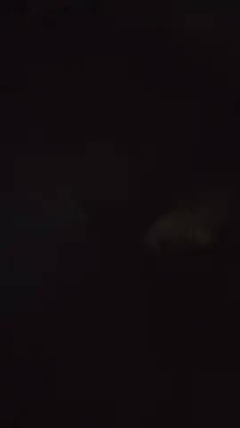 🤔🤫🤔🤔@গি র গি টি GANG👉 @SAD TAFSIR 😊 @Samiya🥰 @SuMu:)🕸️🧸