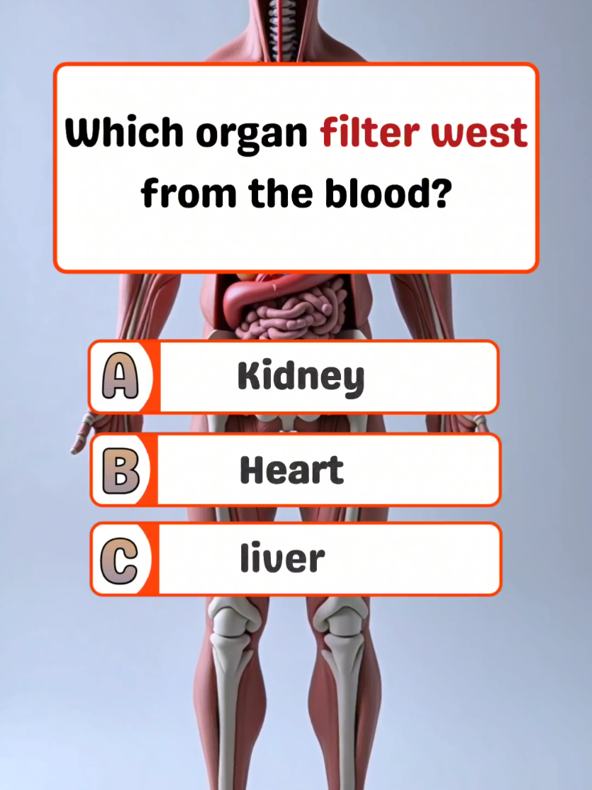 Can you get 6/6,?#quiztime #quizchallenge #quizshow #generalknowledg #uktiktok 