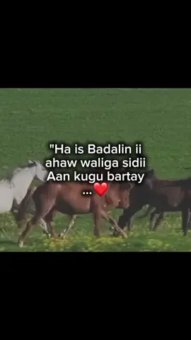 ❤️#viesproblem😭💔 