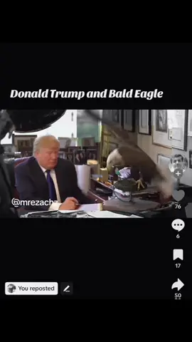 Authoritarians thrive on our silence. Nothing more powerful then the image of the proud American Eagle 🦅 rejecting Trump. His actions are unprecedented, his actions are unconstitutional and his actions are dnagerous. But together, we can stand up to him!  #trump #shakeitoff #chicago