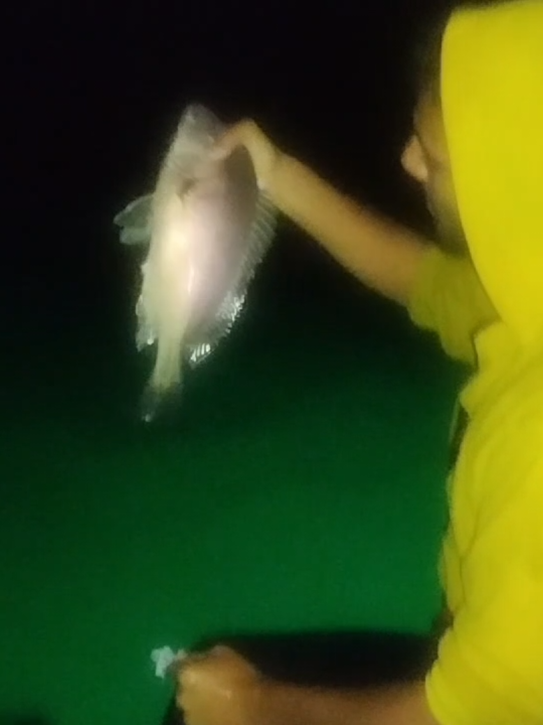 #creatorsearchinsights 