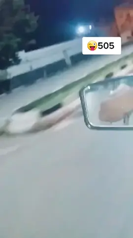 #خمسميةوخمسة__خطافة_بابيش🤤🤞 #سبدو_مغنية_وجدة #505 