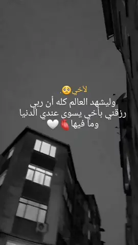 اي والله ❤🥹 #اخي #سندي_ومسندي_واتكائي_وقوتي❤ #تصويري #منشن_لأخوكي #تصميم_فيديوهات🎶🎤🎬 
