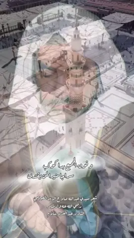 ##اللهم_صلي_على_نبينا_محمد #صلاح_الدين_القوصى #المولد_النبوي_الشريف_صلوا_على_النبي #viral #fyp 