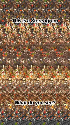Branch of Silence #stereogram #opticalillusion #funchallenge #90sthrowback #mindblown 