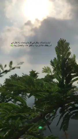 ابتسم لحياتك، وفكر في كل ما يسعدك، ولا تفكر في أمر يقلقك، فالأمل دواء، والقلق عناء، والتفاؤل رجاء🌿.#خواطر_من_القلب #الطبيعة 