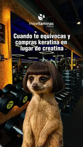 En Mis Vitaminas encuentras la creatina correcta y TODO lo que necesitas para tu entrenamiento 💪🔥 👉 Encuentra todas las marcas de confianza, con asesoría personalizada y la mejor variedad en suplementos, vitaminas y nutrición saludable ✨ 📍 Sedes: Ciudad Montes: Calle 8 sur38-16 Cedritos: Calle 140 12 b-61 Local 21A 🌐 www.misvitaminas.com.co 📲 WhatsApp: 322 9079958 #MisVitaminas #CreatinaColombia #FitnessColombia #gymcolombia #nutricióndeportiva 