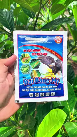 Làm sạch sâu rầy sau một lần phu #xuhuong #daibangmy #sâu #rầy #vattunongnghiep3939 
