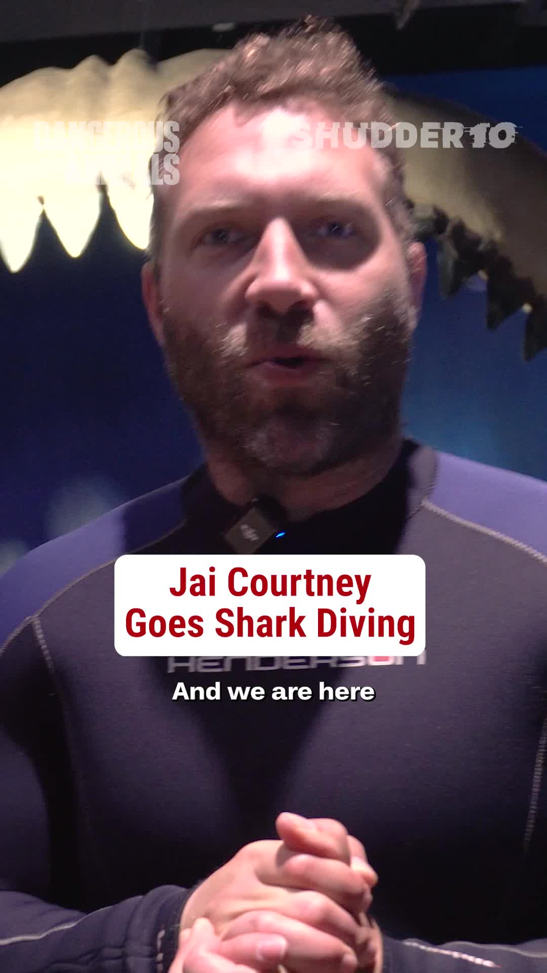 They say sharks can smell fear. Good thing #JaiCourtney doesn’t have any. 🦈 #DangerousAnimals is now streaming on #Shudder.