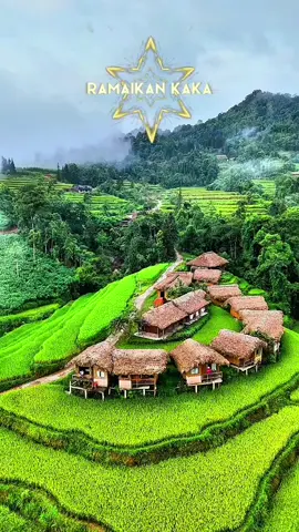 #pemandangan #pesawahandipedesaan 