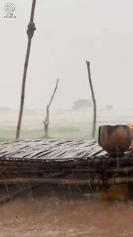 #موريتانيا #mauritania #الخريف #الحوض_الشرقي 