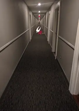 #hollowknight #silksong #hollowknightsilksong #meme