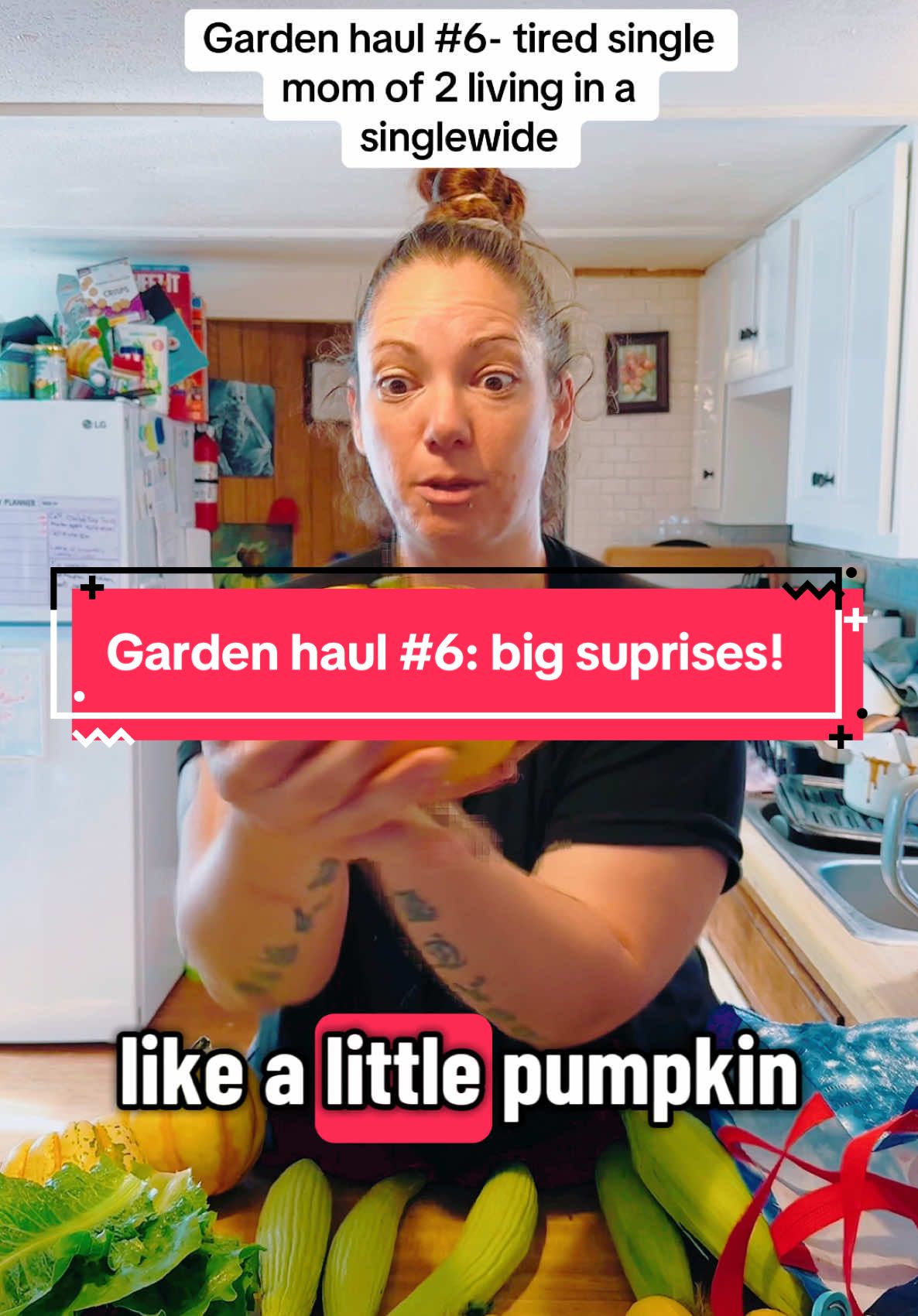 Garden Haul # 6! Let’s see what new things the garden gave! Please support my mission to feed the hungry I. My community by following, liking and sharing this post! Or by donating to my cashapp in my bio! Thank you banaynay fam! 🍌 #LanguageLearning #gardening #gardentok #gardenhaul#veggies#freshfood#freshvegetables#gardentok #momtok #MomsofTikTok#singlewide#mibikehome#budget#autismparenting #autism#autismawareness#fyp#foryou#foryoupage#foryoufeed#gardeninfluencer 