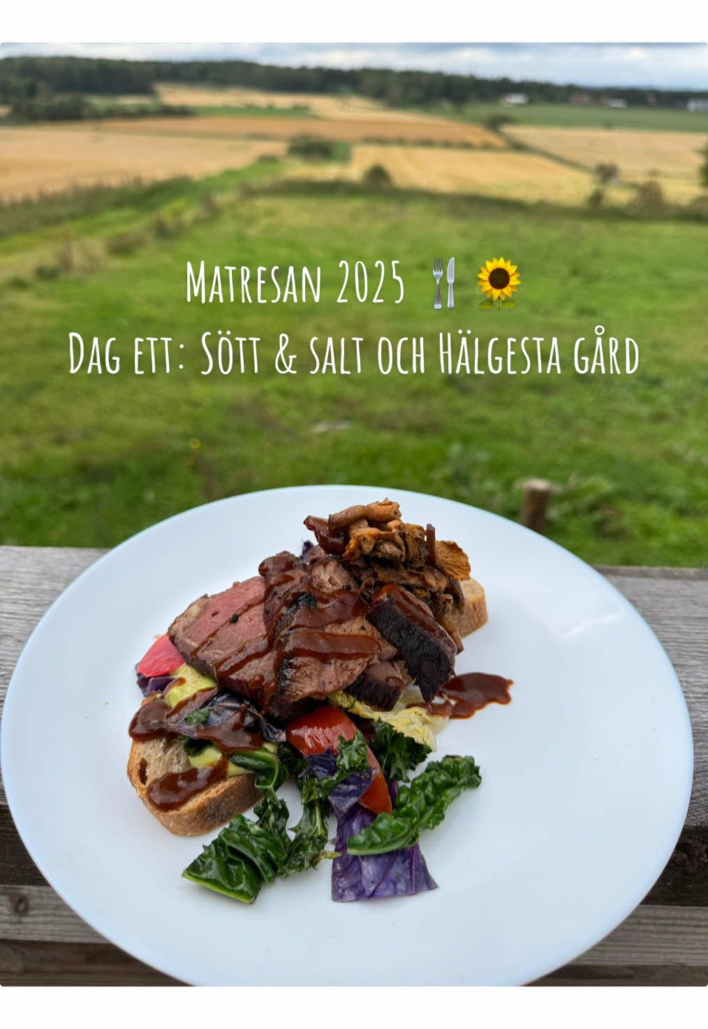 Matresan 2025 Dag ett: Sött & salt och Hälgesta gård🍴🌻 Otroligt mysiga platser, vi rekommenderar verkligen dessa stopp under matresan! God mat och smaskiga efterrätter! Brukar ni åka runt under matresan? Vilka platser rekommenderar ni? Vi tar gärna emot tips för dag två! 👋🏽🥰 #örebrofoodies #matresan #FoodTok #pålandet #2025 @City Örebro 